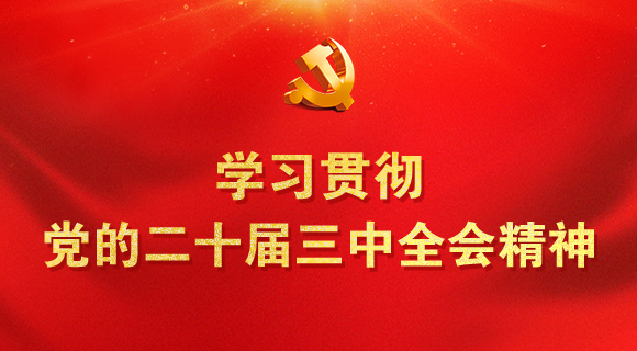 學(xué)習(xí)貫徹黨的二十屆三中全會(huì)精神